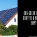 Solar Panels Survive