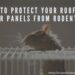 Protect Your Rooftop Solar Panels from Rodents